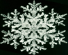 Frosty SnowFlake