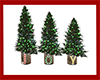 ~N~ Holiday Joy Trees