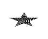 Zebra Star
