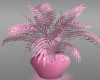 PINK PLANT