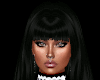 BLACK LACE BUNDLE LLT