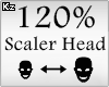 Scaler Head 120%