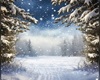 WINTER PHOTO BACKGROUND