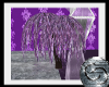 [C]Purple Weeping Willow