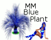 Bluelight Plant