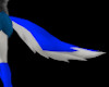Royal Blue Tail/SP