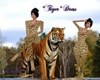 *Tiger* Dress