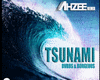 tsunami-DVBBS Borgeous