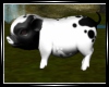 Cute Piglet W&B