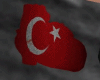 TK! Turkish heart