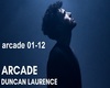 Duncan Laurence Arcade