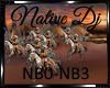 *Native Dj Light