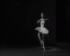 {LA} Ballet Dance m/f
