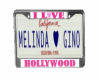 Melinda & Gino's License