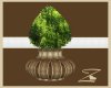 Z Rustic Potted Tree
