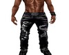 CUIRE PANT DRAGON