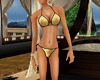 Gold Lame' Bikini