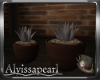 Steampunk Chill Plants