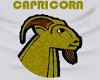 'CAPRICORN' Top 