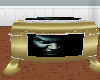 [69] Gold  COffin