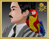 Parrot Pet
