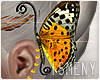 [Is] Butterfly Earrings
