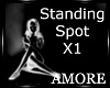 Amo DJ Standing Spot x 1