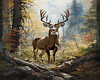 Deer Picture 1