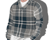 Plaid Hoodie + Shirt.