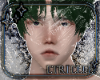 Base Skin v03