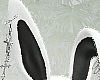 ® Bunny Black