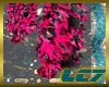 Pink&Black Boa Boots