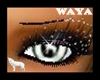 waya!WolfEyesNAFemale