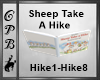 Sheep Take A Hike Book