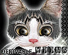 [W] Animated Cat Head S