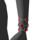 Three VanCf Red 2 L