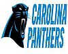 Carolina Panther Banner