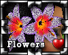 !P Torera Flower Malva