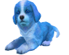 Blue Puppy