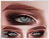 ®Vic Brows Ginger M.H