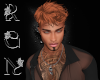 {RGN}D.C Rust