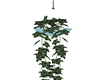 [BP] Hanging Plant