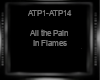 All the Pain- In Flames
