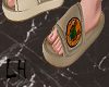 Slide/MscDragonB