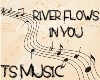TS-River Flows In You