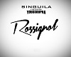 singuila rossignol