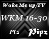 *P*Wake Me Up/FV (Pt2)