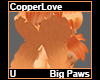 CopperLove Big Paws