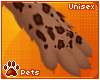 [Pets] Saber |fuzzy paws