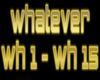 Dj Ever - Whatever